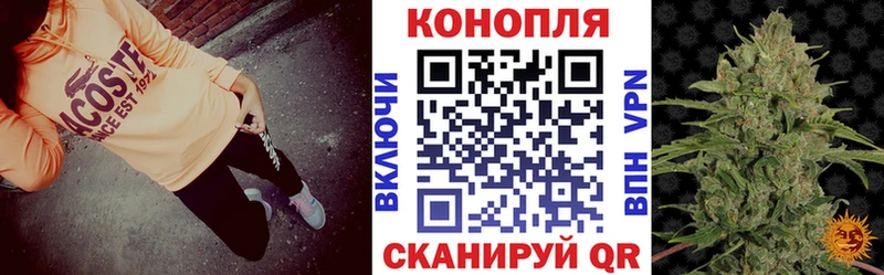 где можно купить   Игра  блэк спрут ТОР  Бошки марихуана ГИДРОПОН 